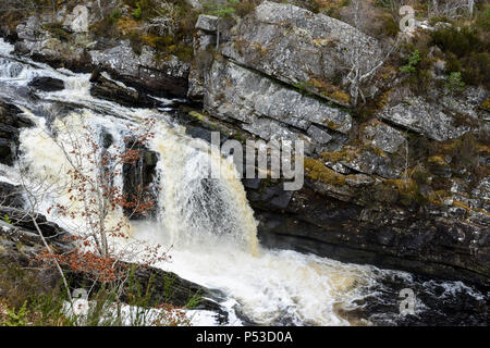 Rogie cade una serie di cascate di acqua nera nel fiume Ross-shire nelle Highlands della Scozia Foto Stock