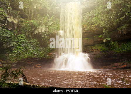 Akob Takob cascata nel bacino Maliau Sabah Borneo Malese Foto Stock