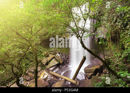 Cascata in prossimità di Ginseng Camp nel bacino Maliau Sabah Borneo Malese Foto Stock