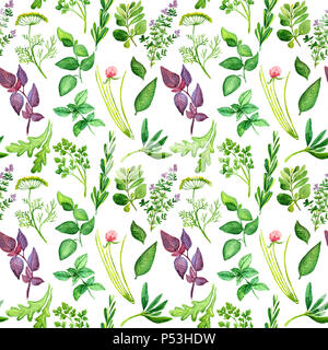 Le erbe culinarie Set: Salvia, Menta, foglie di alloro, aneto, prezzemolo, erba cipollina, timo, origano, il cerfoglio, rosmarino, basilico, viola il basilico, Rucola, modello senza giunture Foto Stock