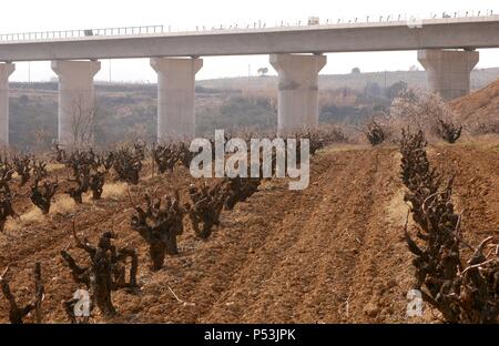 CAMPO DE VIÑEDOS en invierno. Al fondo el puente construido para el Tren de Alta Velocidad (AVE). Vilafranca del Penedès. Comarca del Alt Penedès. Provincia de Barcelona. Cataluña. Foto Stock