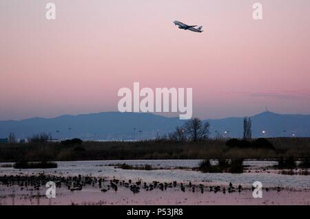 AVION DESPEGANDO al atardecer desde el aeropuerto del Prat. En Primer término el delta del Llobregat. Barcellona. Cataluña. Foto Stock