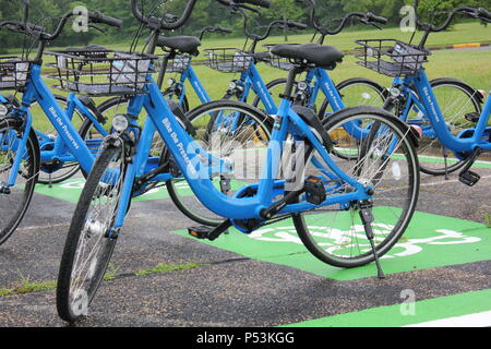 Bici in comune nei boschi. Foto Stock