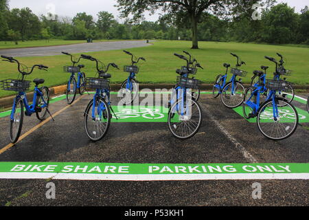 Bici in comune nei boschi. Foto Stock