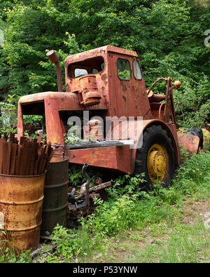 Un vecchio caricatore arancione abbandonato nella foresta Montagne Adirondack, NY USA Foto Stock