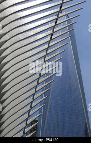 NEW YORK, NY - 29 giugno: Calatrava's occhio esterno in acciaio struttura di nervatura sovrapposto WTC1 edificio nel quartiere finanziario, Manhattan su giugno 29th, Foto Stock