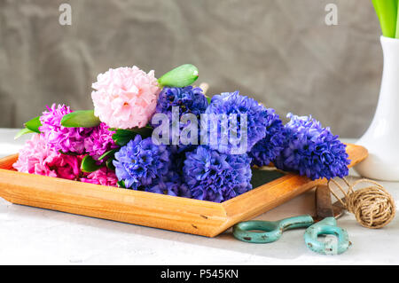 Bouquet di colori diversi fiori di giacinto su una tavola di legno. Negozio di fiori concetto. Foto Stock