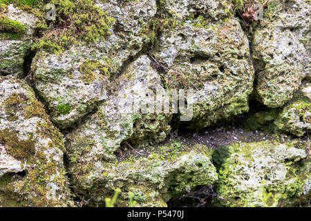 Muro di pietra naturale fatto di pietra casuale Foto Stock