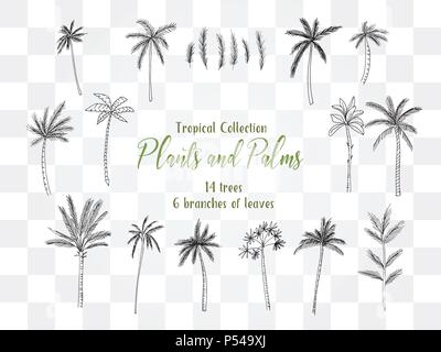 Illustrazione con un cartoon dinosauro animale Illustrazione Vettoriale