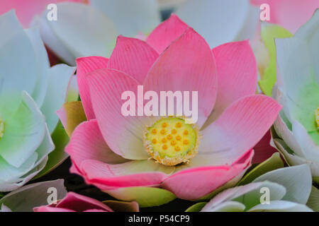 Carino rosa artificiale fiori di Loto o Ninfea Bianca. Artificiale di fiore di loto, la carta a mano fiore di loto con foglia di rosa e petali di colore giallo, DIY arte processo di produ Foto Stock