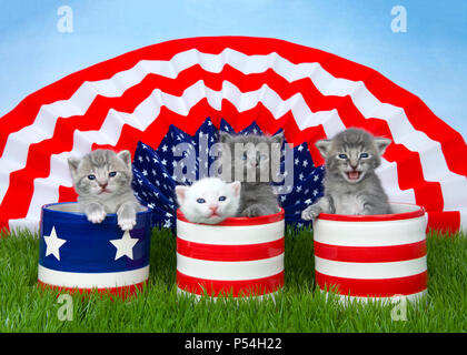 Quattro piccoli gattini soffici in seduta progettata patriottica pentole su erba verde, bandiera americana banner sullo sfondo azzurro del cielo dietro. Foto Stock