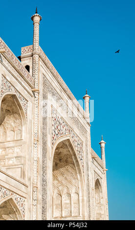 Una vista ravvicinata del Taj Mahal, Agra, India Foto Stock