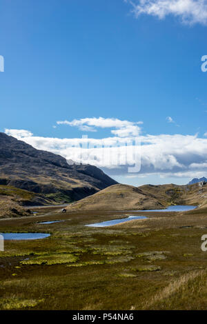 Shackleton Valley, Isola Georgia del Sud Foto Stock