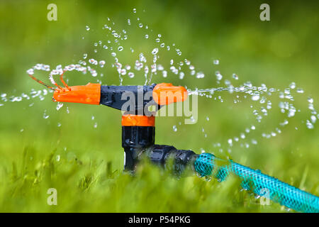 Giardino irroratore per innaffiare il prato o giardino Foto Stock