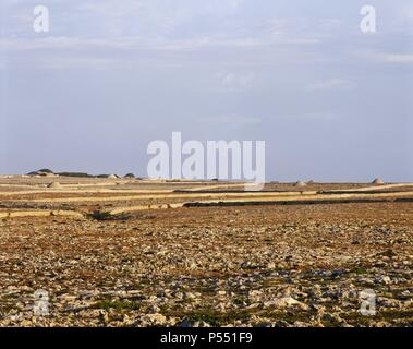 ISLAS BALEARES. Minorca. Panorámica del paisaje rural al oeste de la Isla, con las típicas 'tanques' y 'barraques'. Los campesinos han roturado el campo con paredes de piedra, tanto para proteger los cultivos en parcelas (tanques) del viento como del ganado. Las 'barraques' figlio Torres de varios pisos con unà única entrada para el ganado. España. Foto Stock