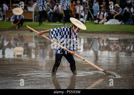 Giugno 24, 2018 - Un uomo utilizza un grande rastrello in legno per preparare un campo di riso per la semina durante Isobe-no-Omita, un riso piantagione festival al Santuario Izawanomiya in città Shima, Prefettura di Mie, Giappone. Durante il festival si tiene ogni anno per garantire un buon raccolto e un abbondante cattura di pesce, gli uomini e le donne pianta di riso a mano e gli uomini battaglia per il bambù in un fangoso campo di riso. Il festival è considerato uno del Giappone del tre grandi riso piantagione festival, ed è riconosciuto a livello nazionale importante Folk immateriali beni culturali. Credito: Ben Weller/AFLO/Alamy Live News Foto Stock