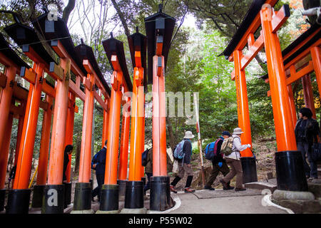 Torii gate a Fushimi Inari-Taisha santuario,Kyoto, Giappone Foto Stock