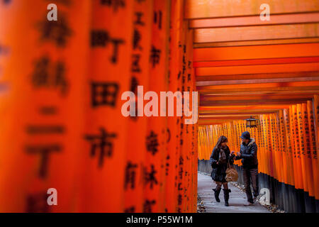 Torii gate a Fushimi Inari-Taisha santuario,Kyoto, Giappone Foto Stock