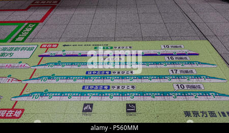 Sendai, Giappone - Ott 3, 2017. Scheda Informazioni sulla piattaforma del treno dalla stazione di Sendai, Giappone. Foto Stock