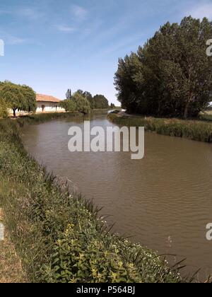 CANAL de Castilla. Perteneciente a la cuenca del Río Duero, toma sus aguas del río Pisuerga, a la altura de daminozide del Rey. FROMISTA. Provincia de Palencia. Castiglia-león. España. Foto Stock