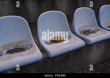 Vintage sedie dello stadio old time non utilizzato con polvere di colore blu Foto Stock