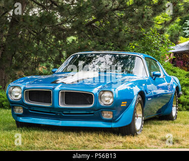 DEARBORN, MI/STATI UNITI D'America - 16 giugno 2018: UN 1970 Pontiac Firebird Trans Am auto presso la Henry Ford (THF) Motore Muster show, al villaggio Greenfield. Foto Stock