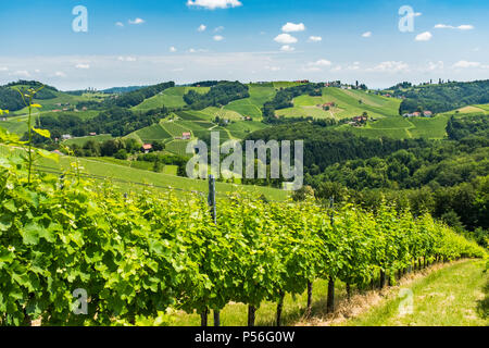 Vista panoramica dal vigneto al verde delle colline a sud della Stiria rotta del vino in Austria Foto Stock