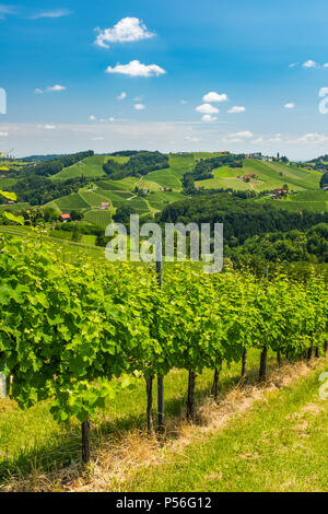 Vista panoramica dal vigneto al verde delle colline a sud della Stiria rotta del vino in Austria Foto Stock