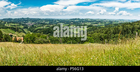 Vista da prato panorama sulla strada del vino al sud della Stiria area vinegrowing con Leutschach città in Austria Foto Stock