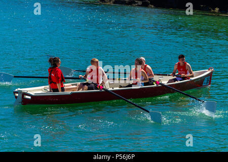 Costiera regata di canottaggio in West Cork, Irlanda. Foto Stock