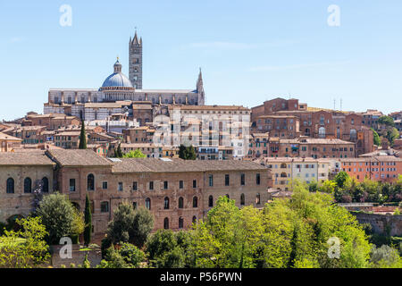 Vista della città di Siena in Italia Duomo di Siena Foto Stock