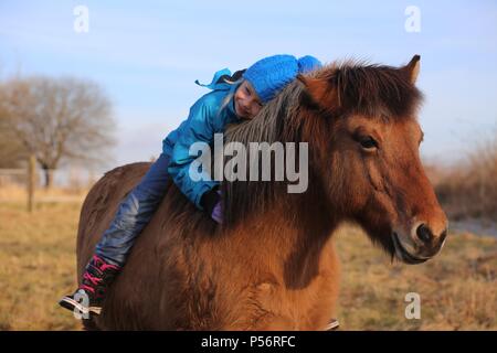 La ragazza e il cavallo islandese Foto Stock