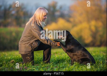 Donna e Labrador Retriever Foto Stock