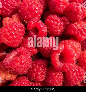 Modello di lamponi freschi. Un meraviglioso dessert alla bacca Foto Stock