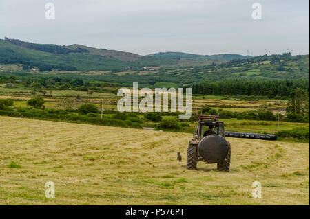 Ballydehob, West Cork, Irlanda. Il 25 giugno, 2018. Ballydehob agricoltore Ben Deane e il suo cane Toby spostare un insilato di una cauzione per lo storage su una giornata molto calda. Questo è il preludio a una mini-ondata di caldo in cui le temperature sono impostati per raggiungere 31° gradi centigradi da giovedì di questa settimana. Credito: Andy Gibson/Alamy Live News. Foto Stock