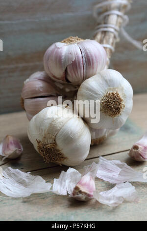 Lampadine dell'aglio Foto Stock