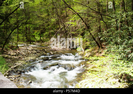 Natura - USA - TN - GA - Smoky Mountains & Rock City (Lookout Mountain) Foto Stock