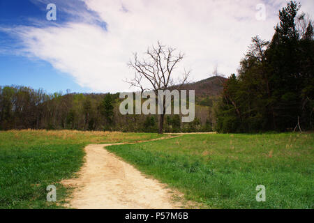 Natura - USA - TN - GA - Smoky Mountains & Rock City (Lookout Mountain) Foto Stock