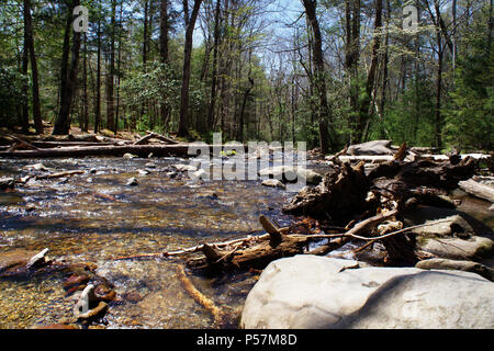 Natura - USA - TN - GA - Smoky Mountains & Rock City (Lookout Mountain) Foto Stock