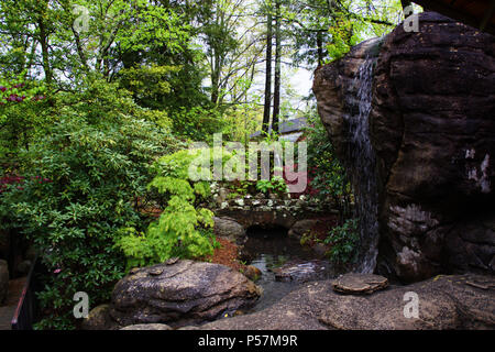 Natura - USA - TN - GA - Smoky Mountains & Rock City (Lookout Mountain) Foto Stock