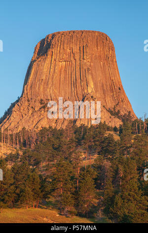 Alba sul Devil's Tower National Monument in Wyoming. Foto Stock