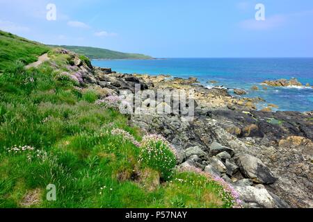 Cornish litorale,St ives,cornwall, England, Regno Unito Foto Stock