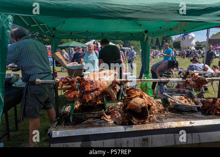 24 Giugno 2018 - Il tempo era caldo e soleggiato come il villaggio di Lymm ha tenuto la sua 6 One day Festival di trasporto dotate di barche, motori di trazione e c Foto Stock