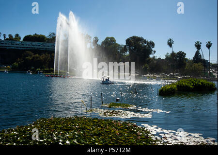 Swan barche a remi a Echo Park a Los Angeles, CA Foto Stock