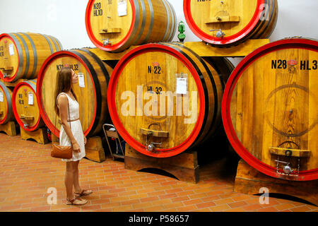 Giovane donna in piedi accanto a botti di legno in una cantina a Montalcino, Val d'Orcia, Toscana, Italia. Montalcino è famosa per il suo Brunello di Montalcin Foto Stock