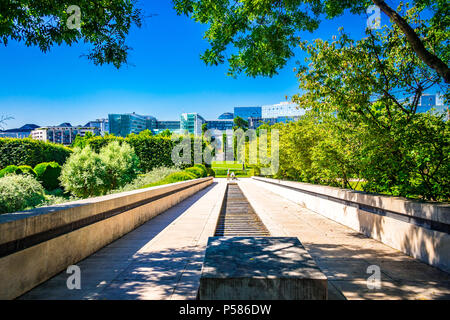 Parc Andre cedro a Parigi, Francia Foto Stock