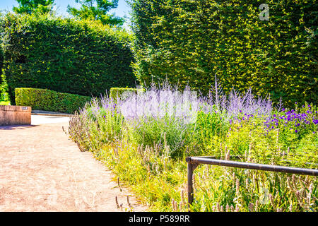 Parc Andre cedro a Parigi, Francia Foto Stock