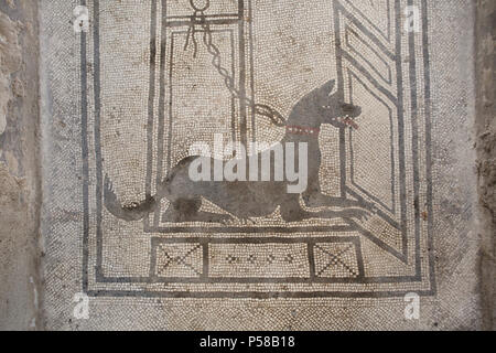 Cane raffigurato nel mosaico romano Cave canem (Attenzione al cane) nella casa di Paquius Procolo (Casa di Paquius Procolo) nel sito archeologico di Pompei) vicino a Napoli, campania, Italy. Foto Stock