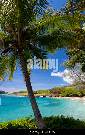 Bellissima giornata a Hamoa Beach, Maui, Hawaii. Foto Stock