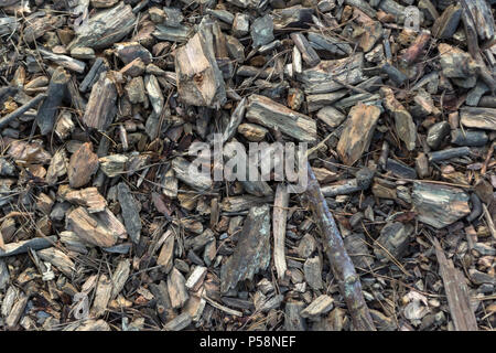 Vista dall'alto di una miscela di trucioli di legno, frammenti di rami di albero, aghi di abete e pietre giacente a terra nella foresta. Foto Stock